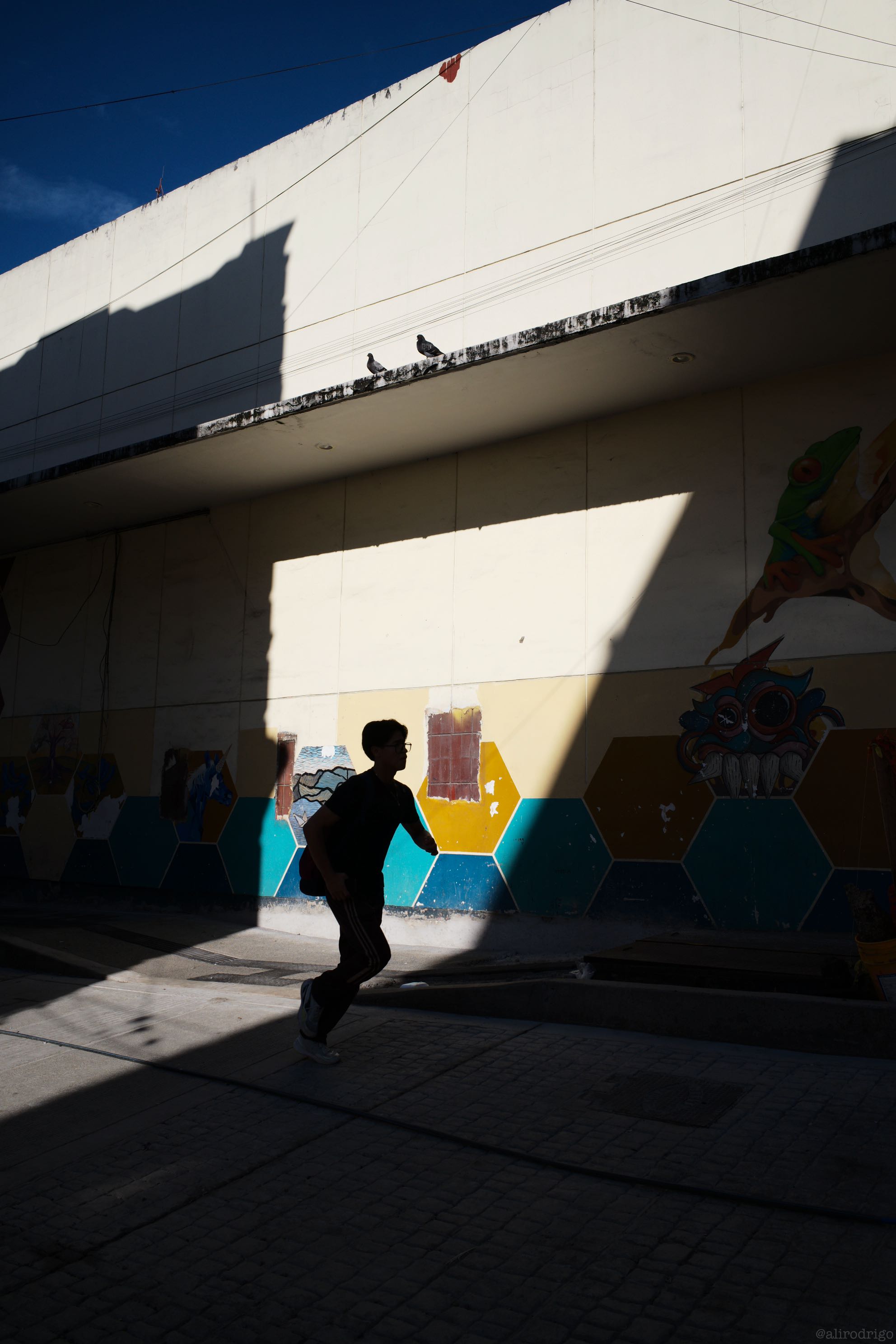 L1006248.jpg
