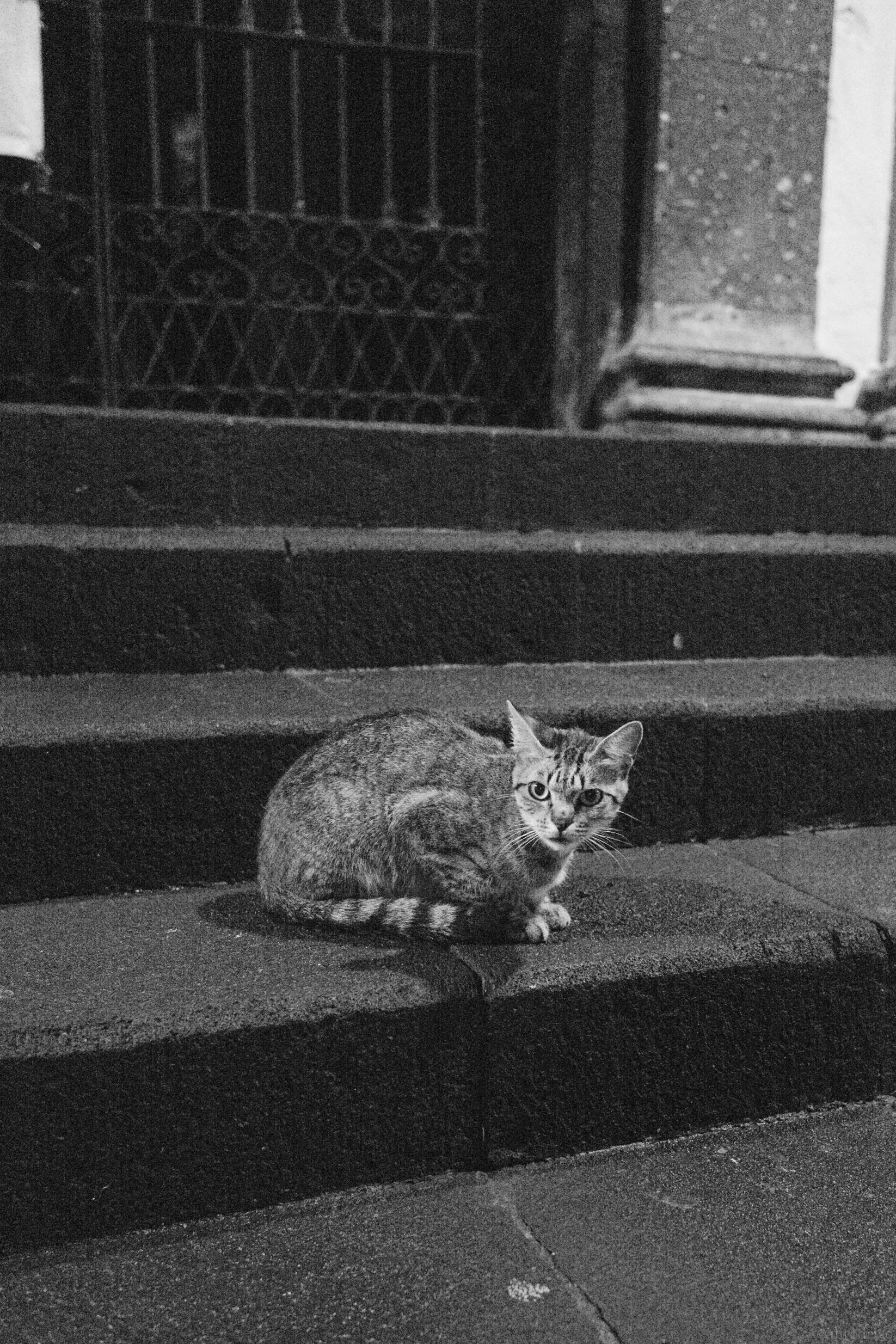 L1006332.jpg