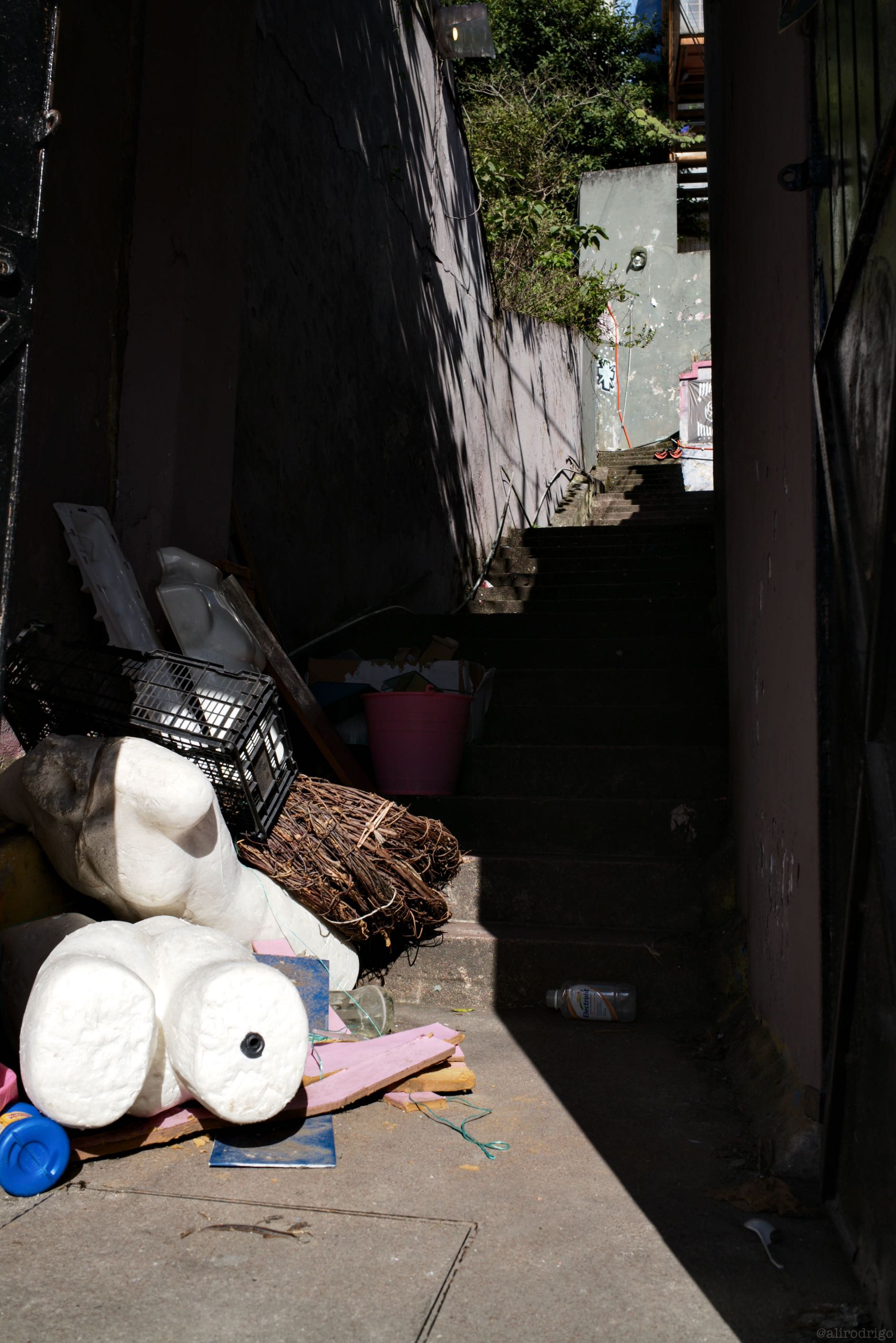 L1006447.jpg