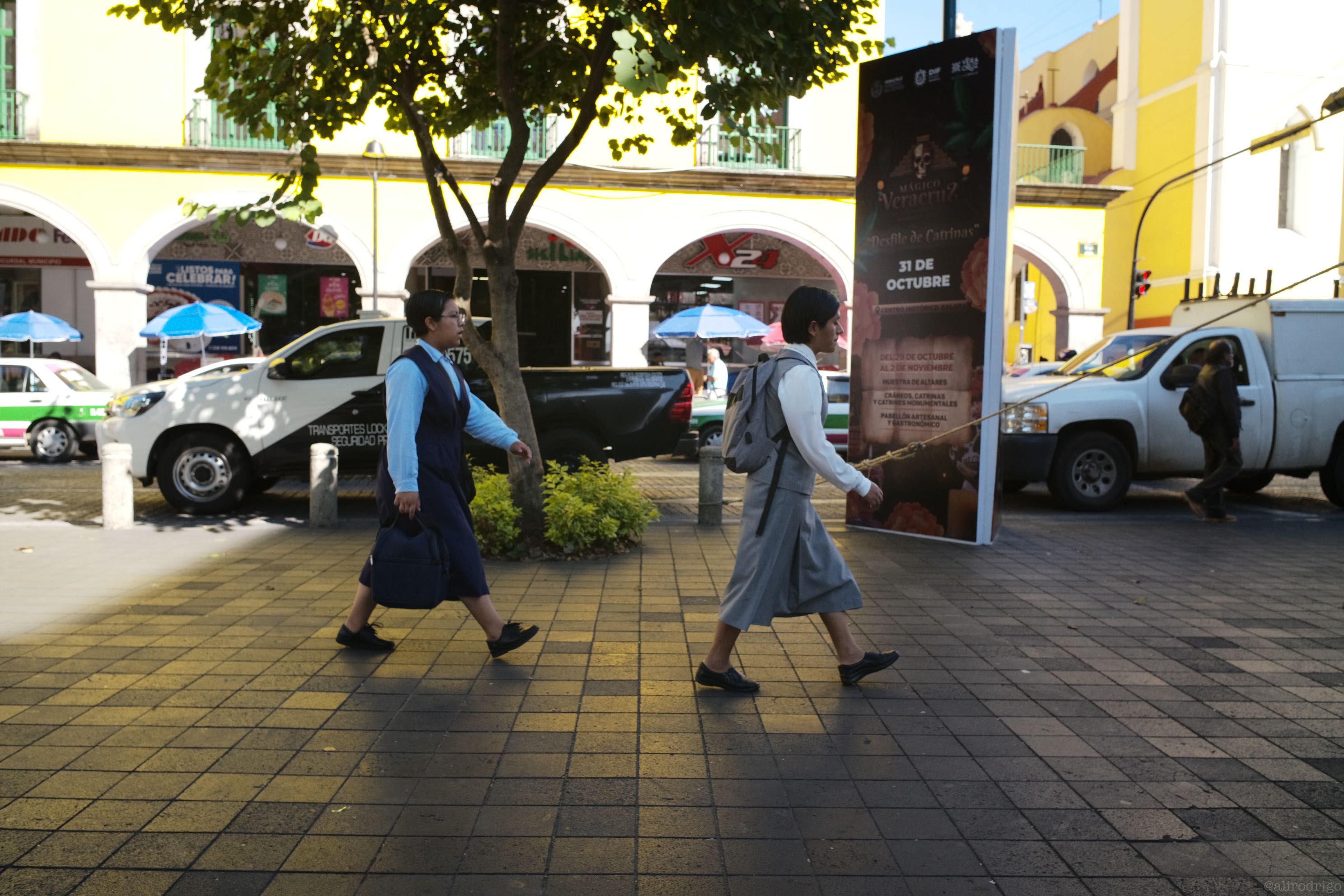 L1007092.jpg