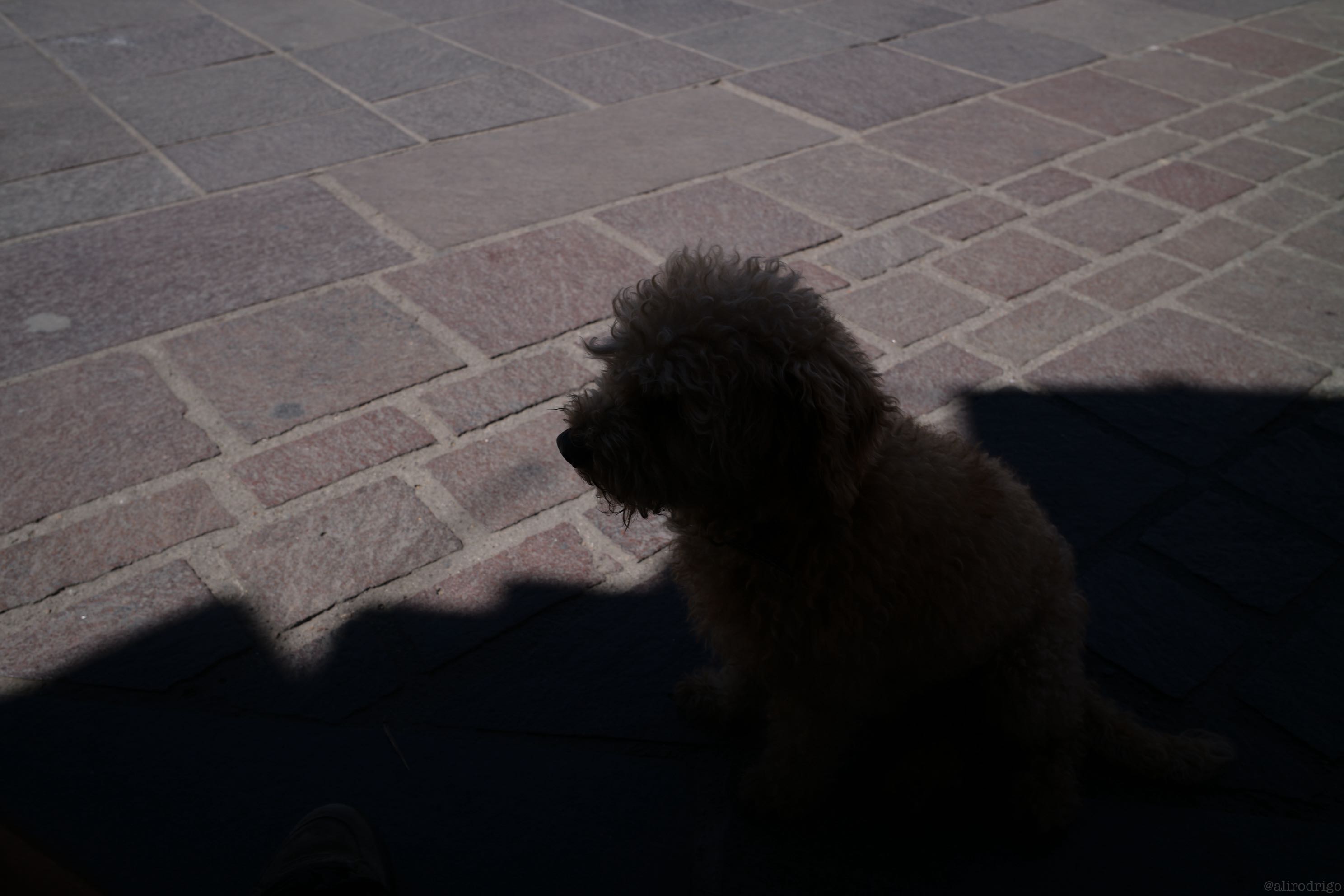 L1007124.jpg
