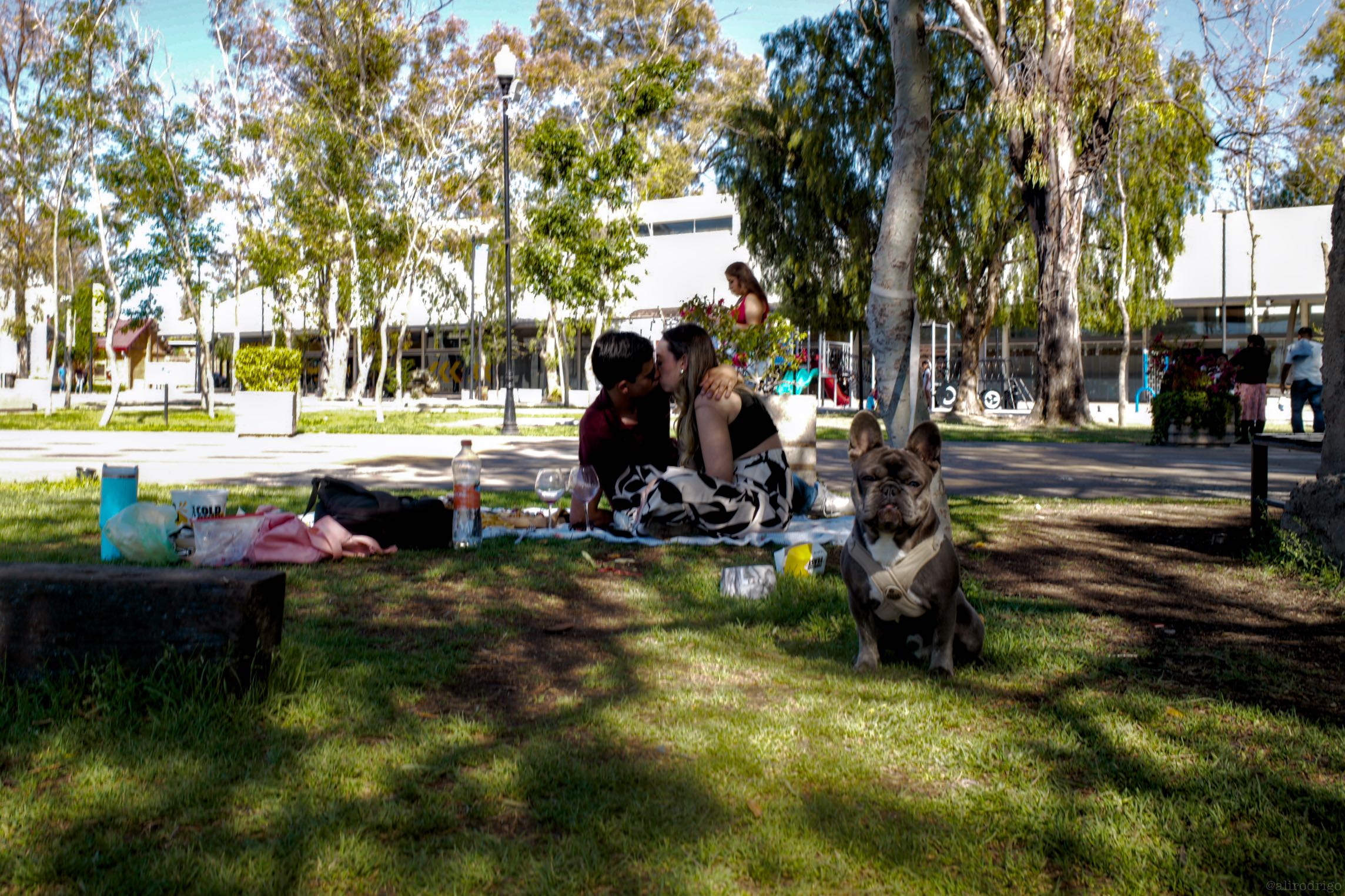 L1007226.jpg