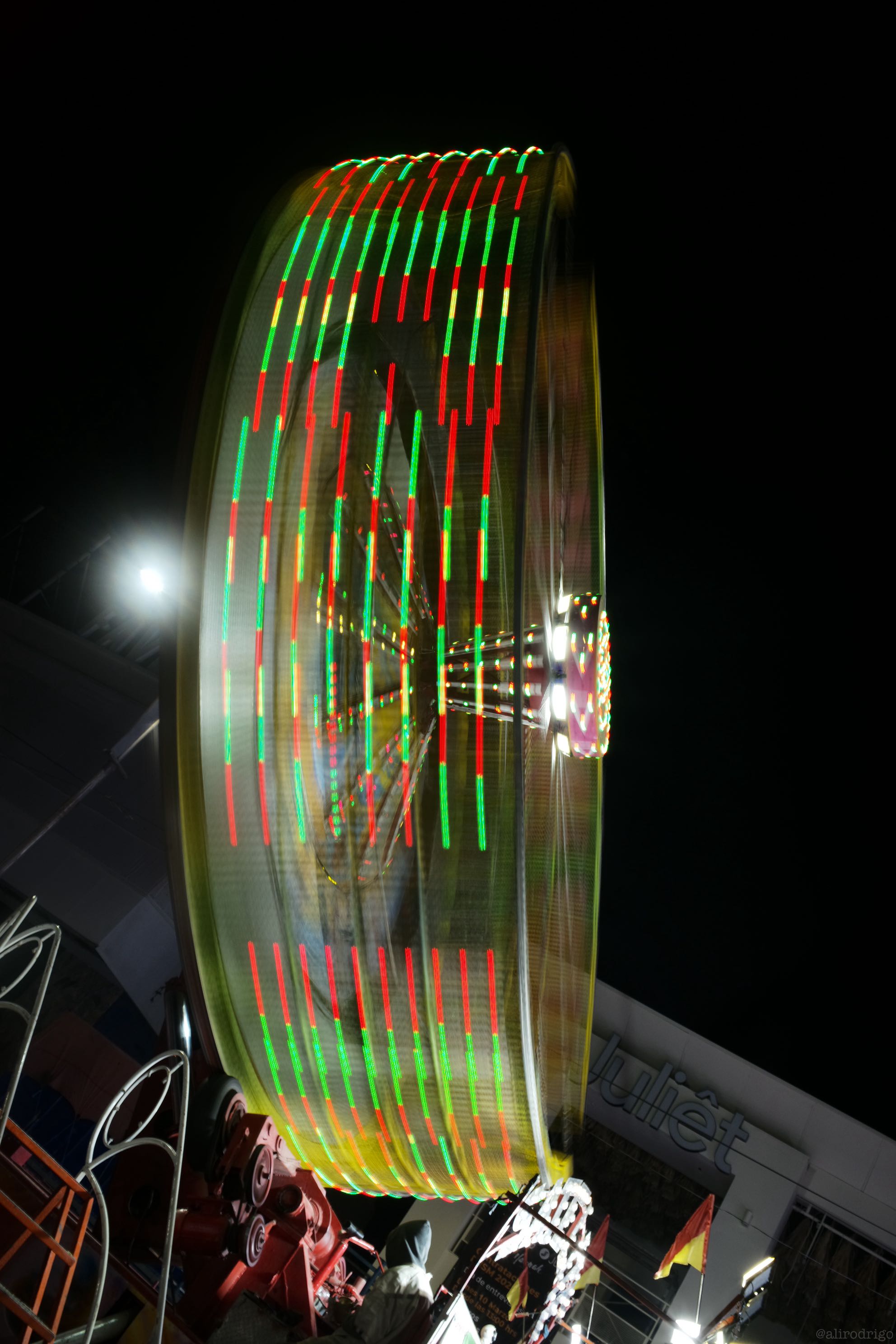 L1007615.jpg
