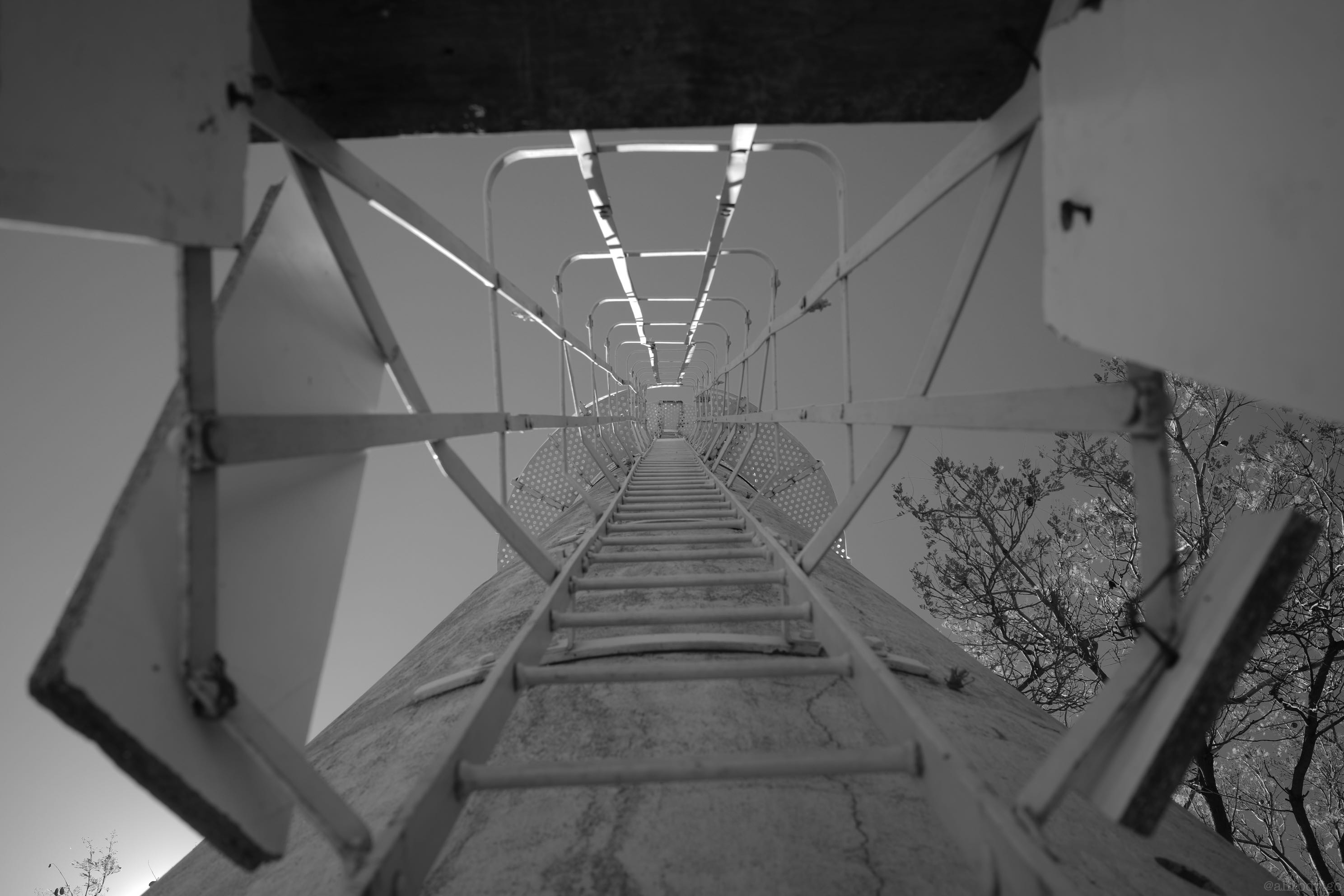 L1007731.jpg