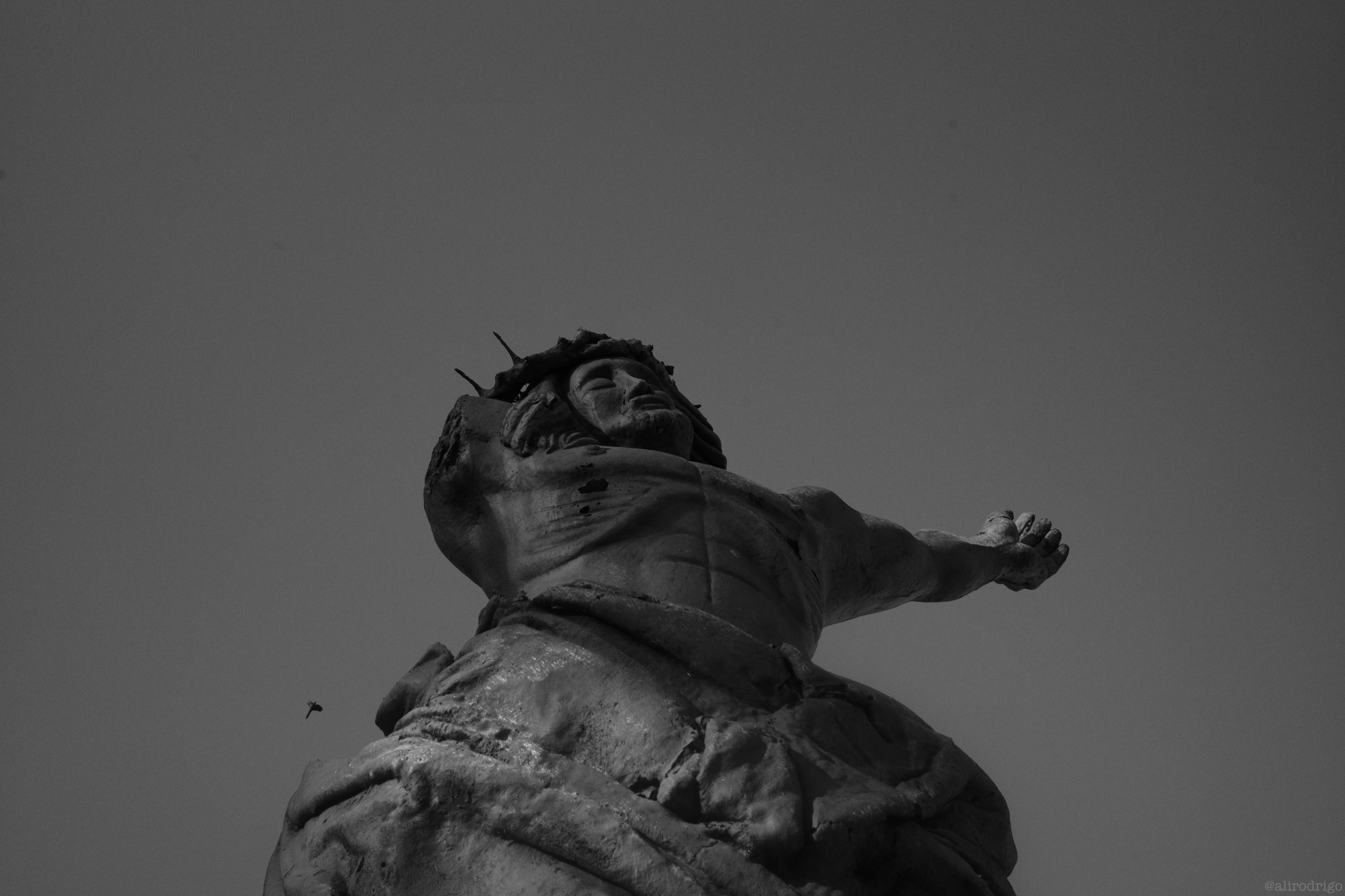 L1007758.jpg