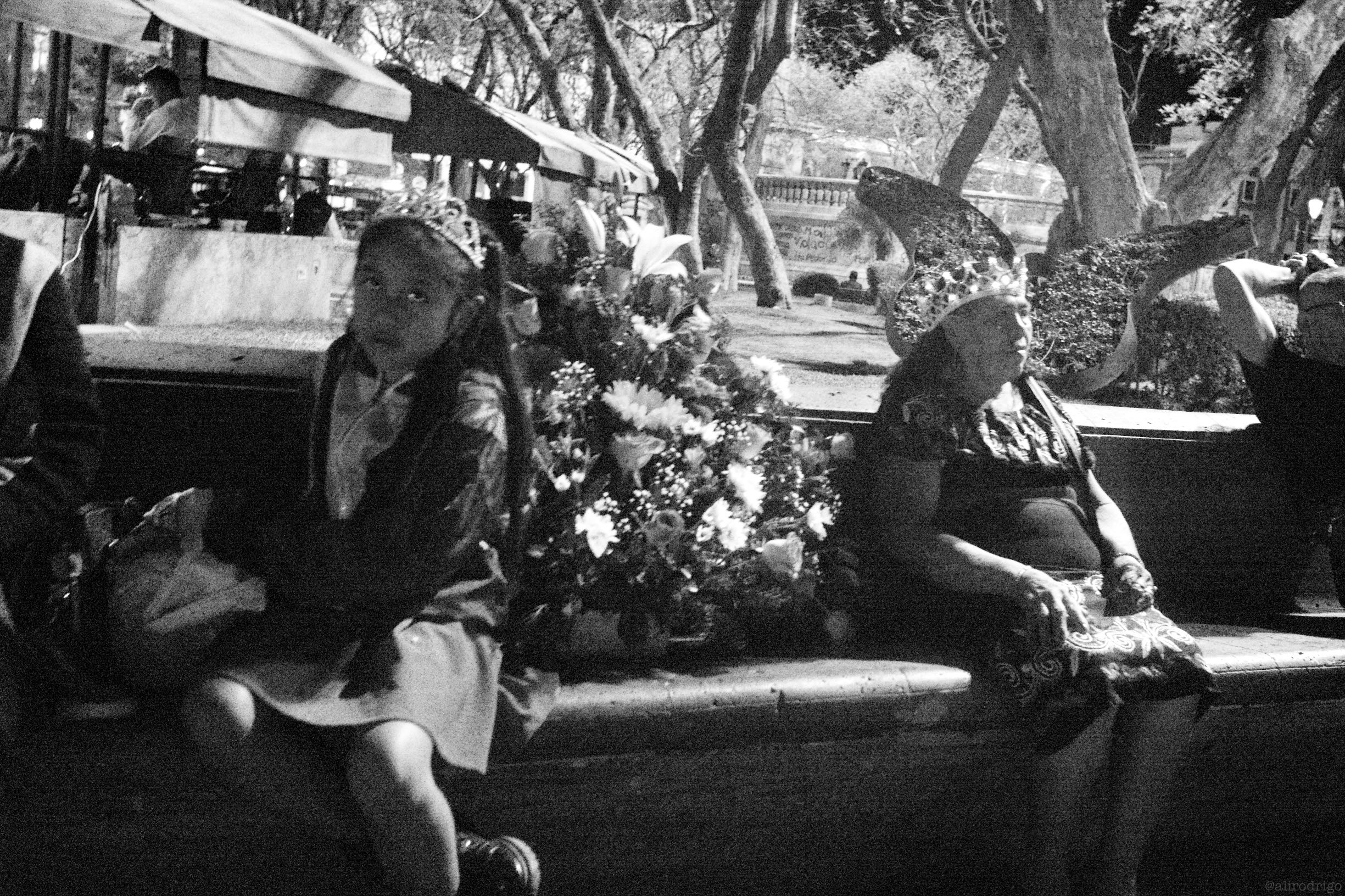 L1007793.jpg