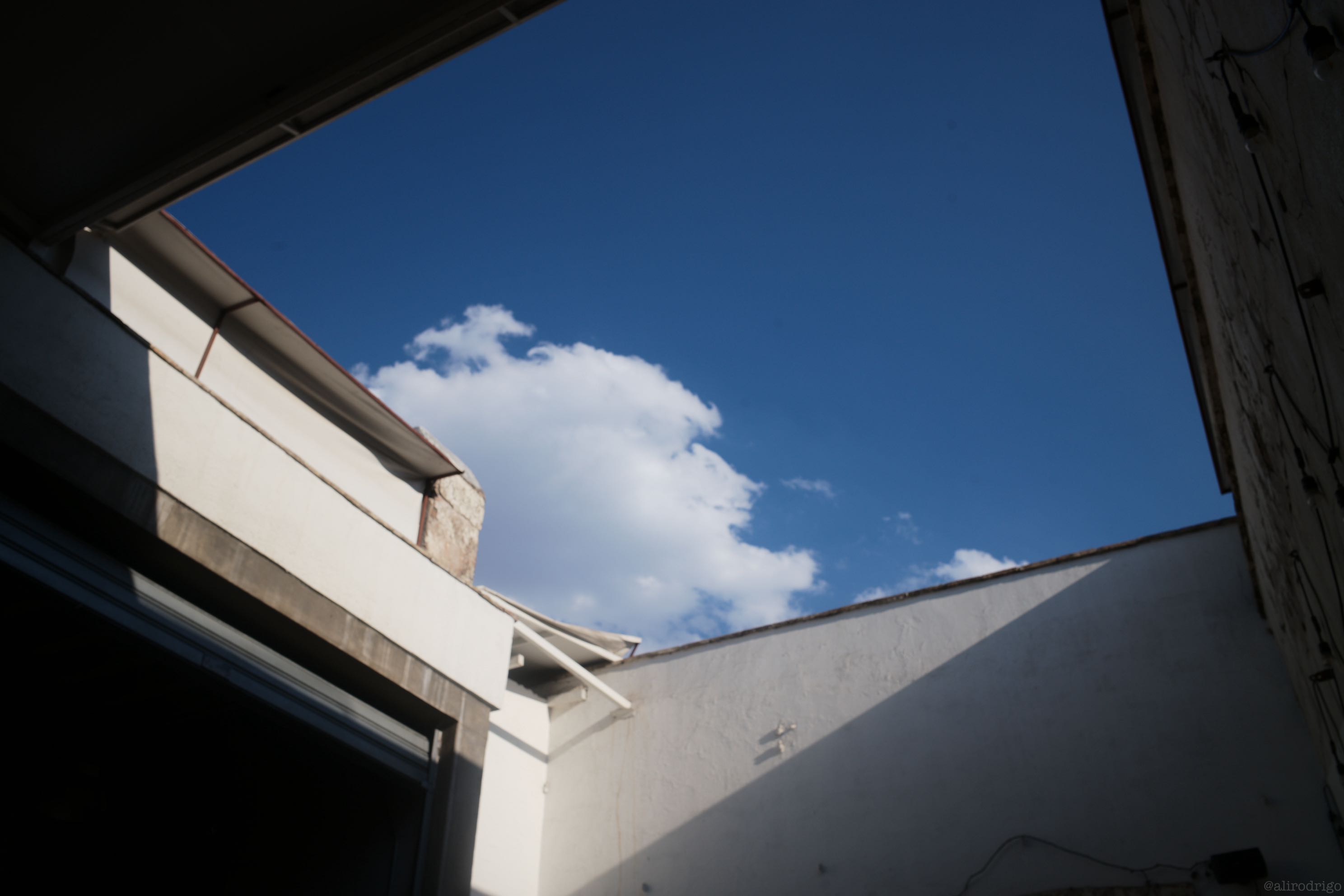 L1007995.jpg