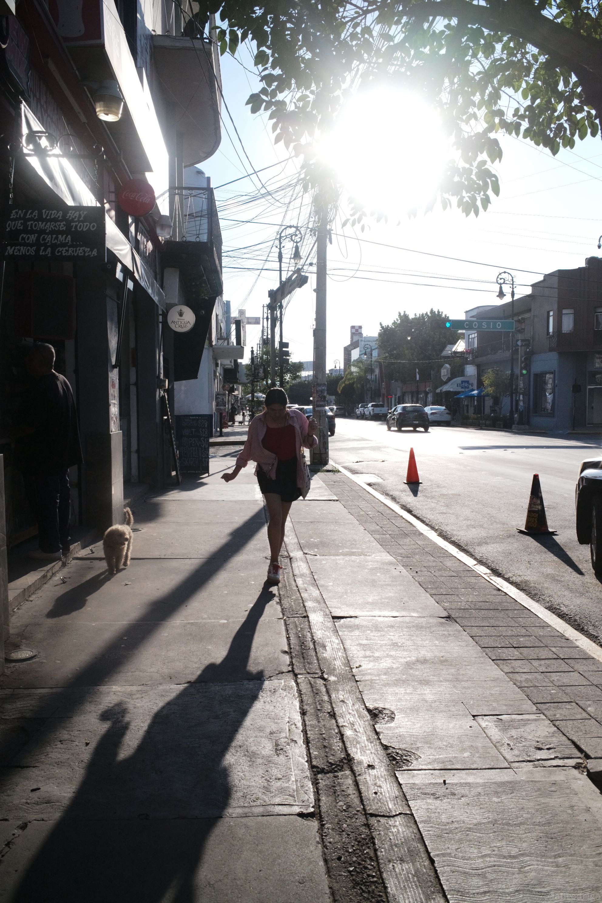 L1008007.jpg