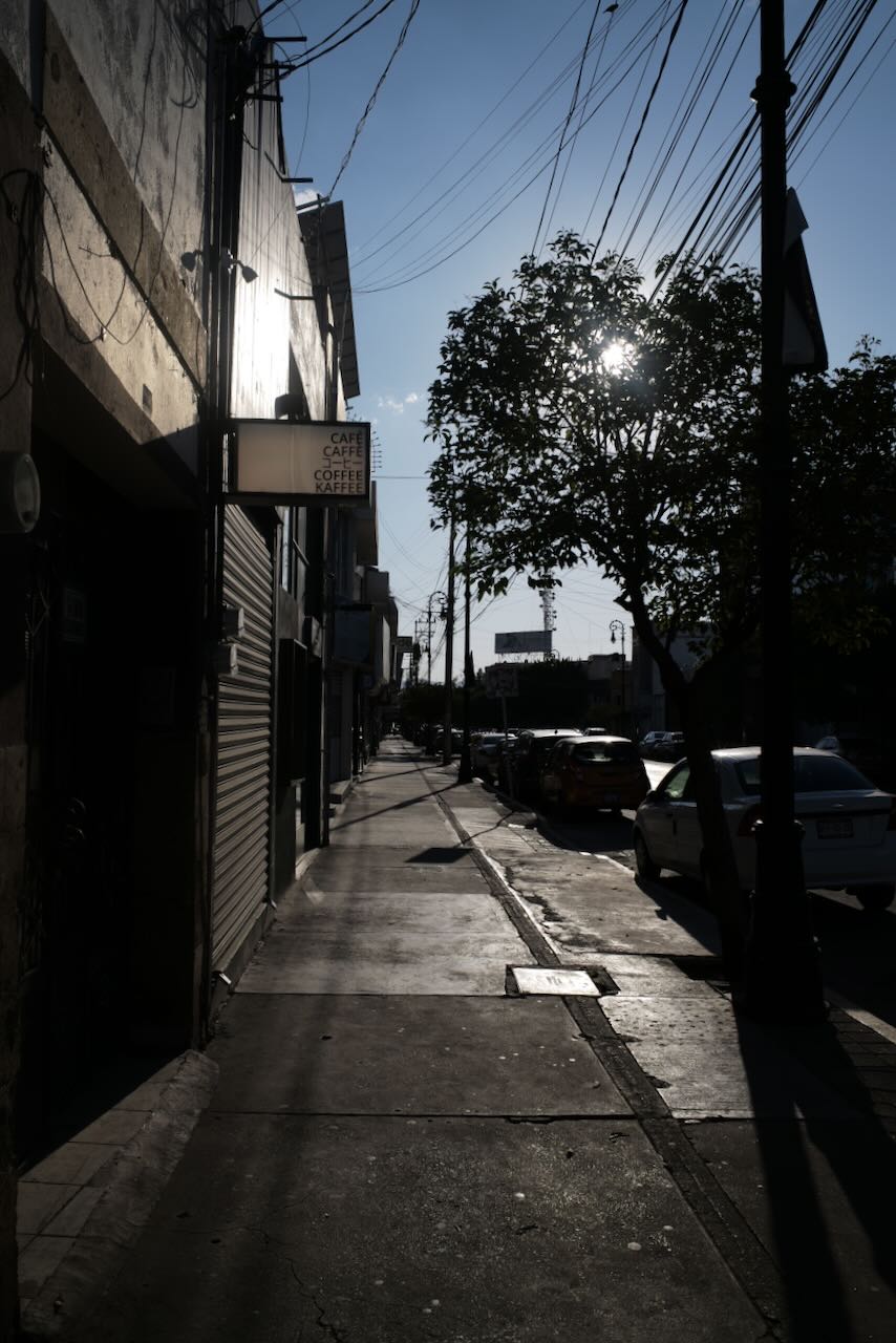 L1008011.jpeg