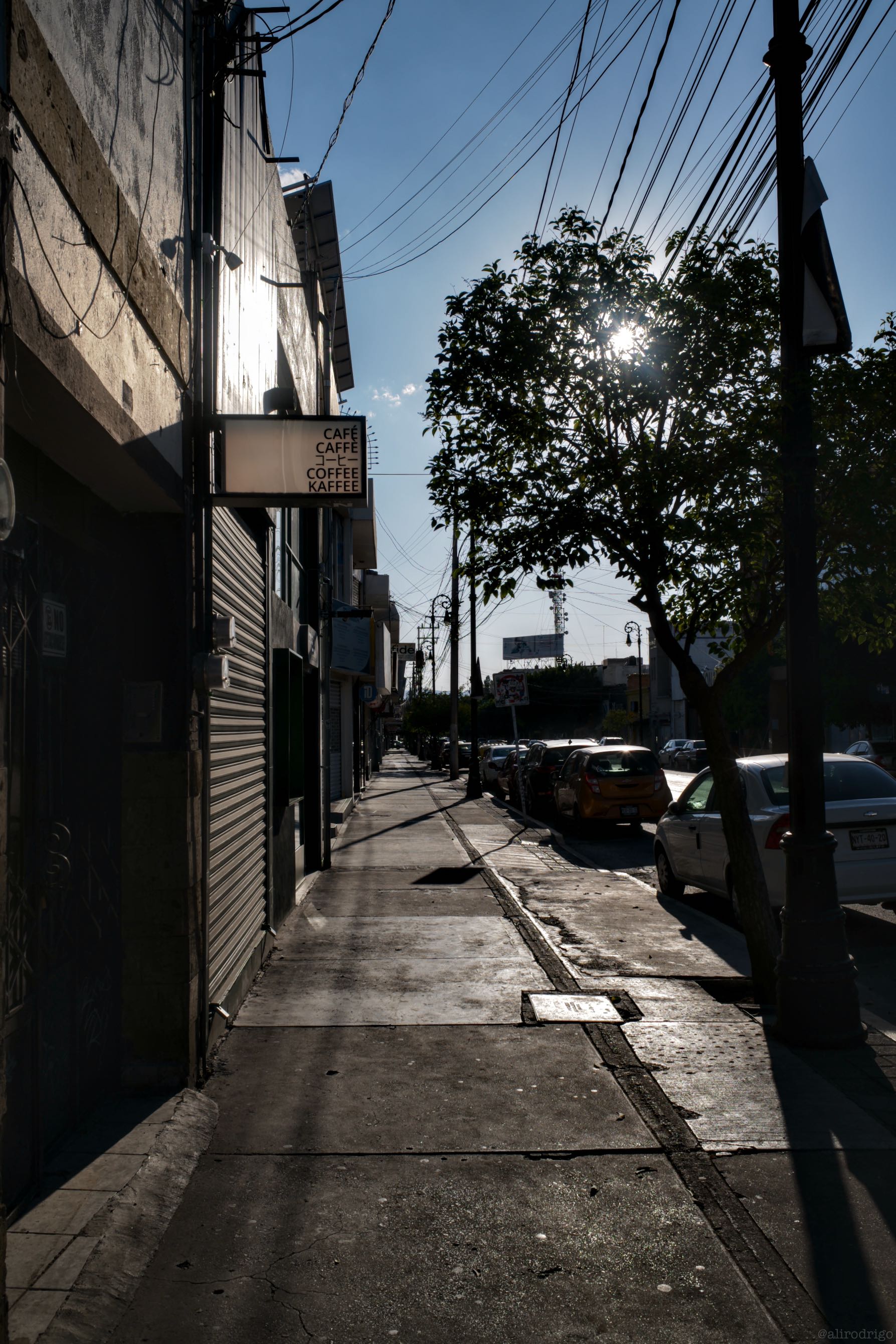 L1008011.jpg