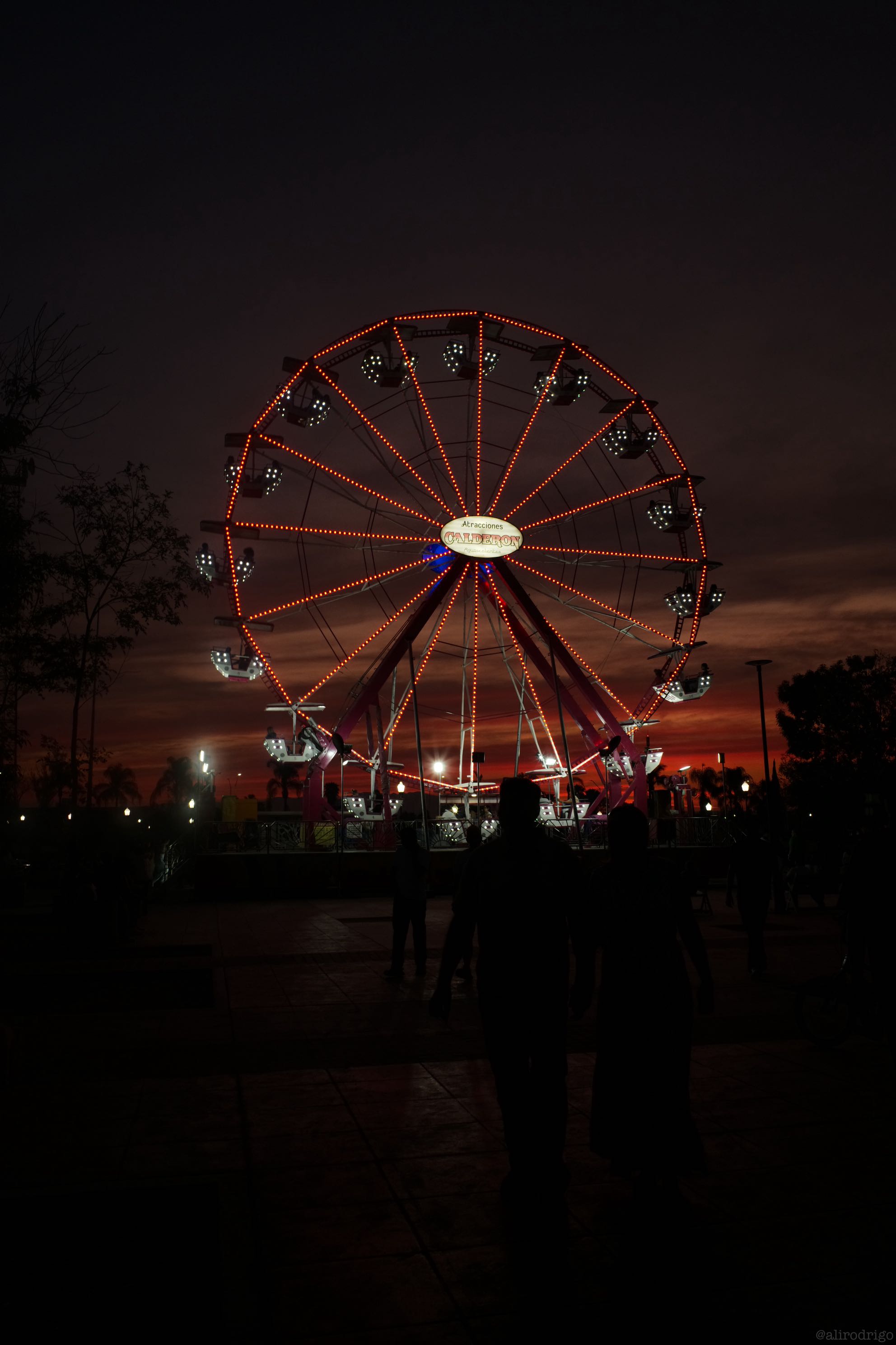 L1008111.jpg