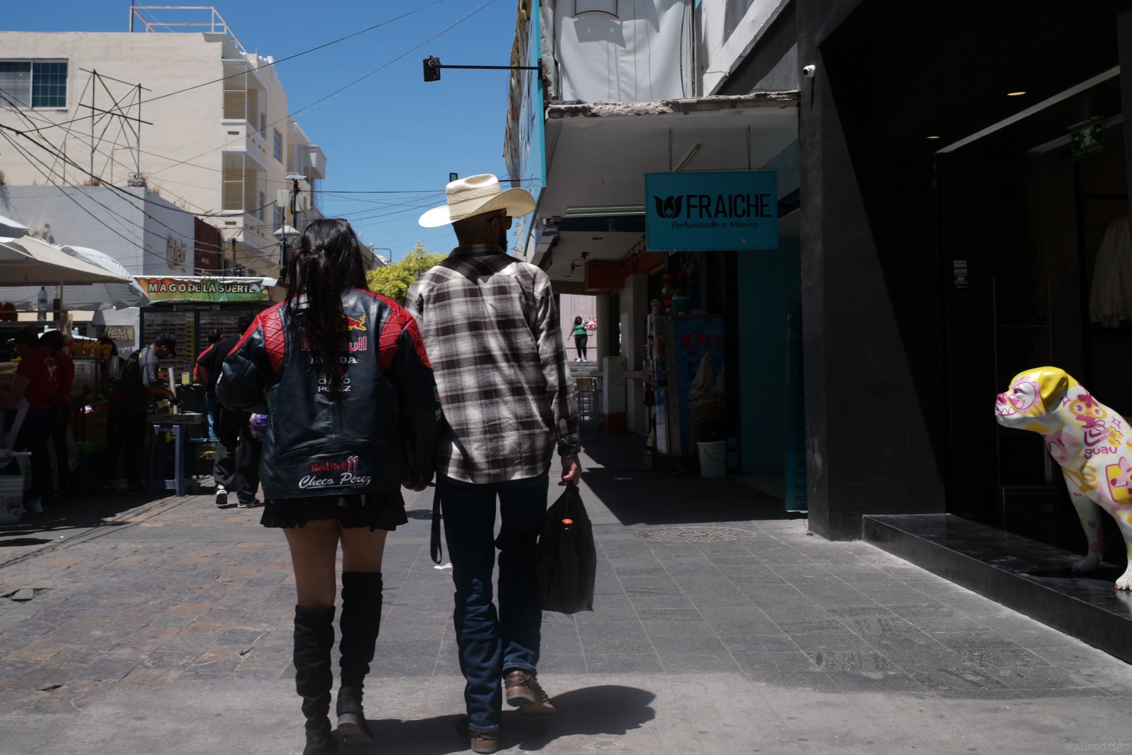 L1008132.jpg