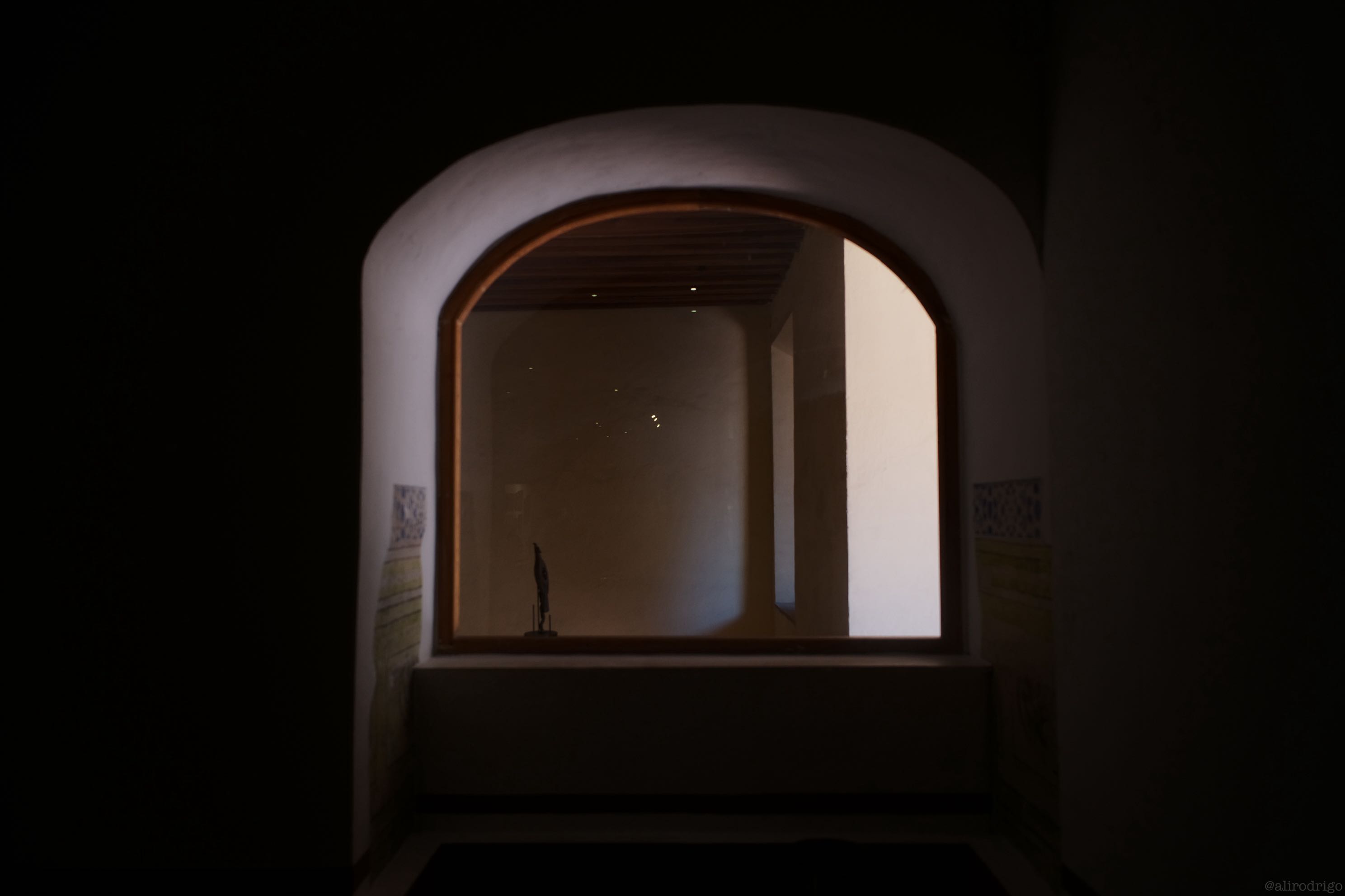 L1008135.jpg